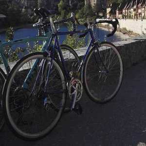 Gazelle Blue