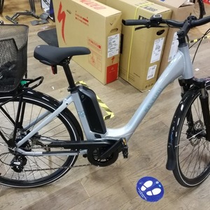 2020 Raleigh Motus Silver, gray or bare metal