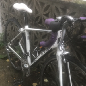 2014 Giant avail 2 White and Purple