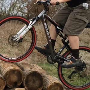 2009 SCOTT SCOTT SPARK 60 Silver, gray or bare metal
