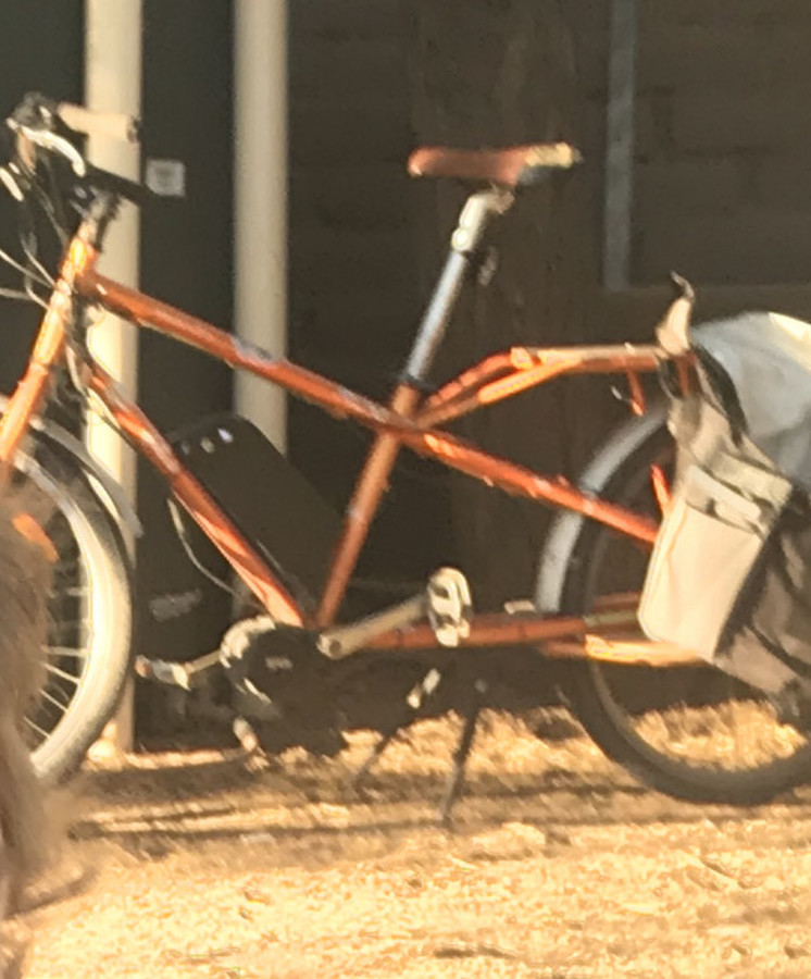 Cargo Bike Rear photo