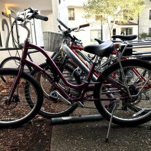 Electra TOWNIE GO! 7D STEP THRU M ZINFANDEL Purple