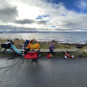 xtracycle eswoop