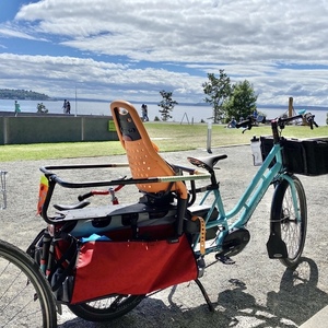 xtracycle eswoop