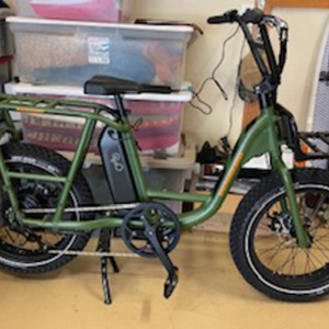 2020 Rad Power Bikes Rad Runner Green