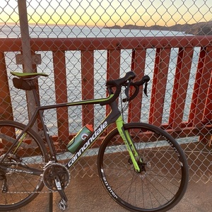 Cannondale Synapse Carbon 105 Triple Black and Green