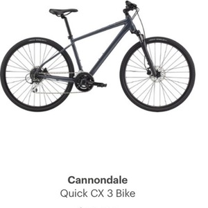 2020 Cannondale Quick CX3 Silver, gray or bare metal
