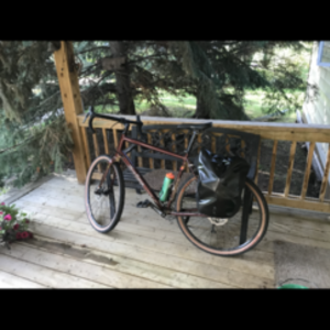 2021 Salsa Journeyman Purple