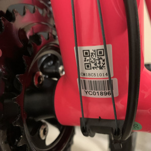 2019 Cannondale Quick 4 Pink