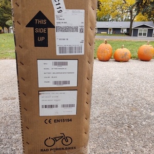 2020 Rad Power Bikes cargo bike (rear storage) Black