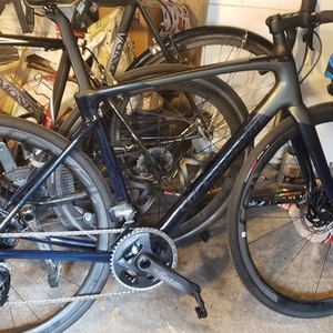 2020 Specialized Roubaix Pro Blue