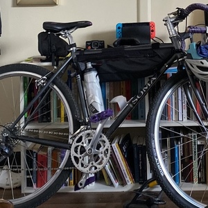 2014 Soma Double Cross Disc Silver, gray or bare metal and Purple