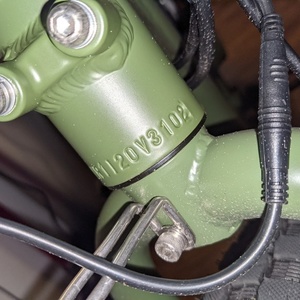 2020 Rad Power Bikes Rad Runner Green