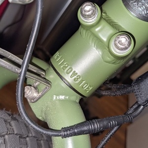 2020 Rad Power Bikes Rad Runner Green