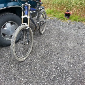 2003 Kona stinky Blue and Yellow or Gold