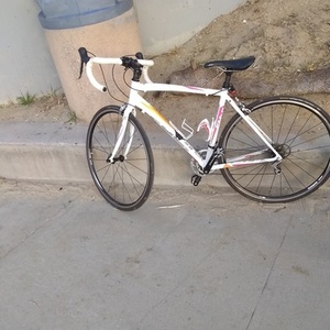2019 Fuji Finest1.3 White, Pink, and Orange