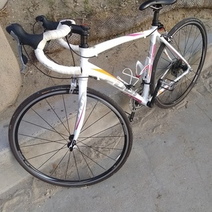 2019 Fuji Finest1.3 White, Pink, and Orange