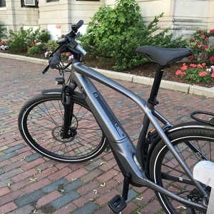 2019 Specialized Vado Silver, gray or bare metal