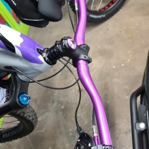 2019 Trek Fuel 8 Silver, gray or bare metal and Purple