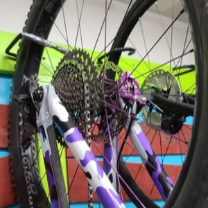 2019 Trek Fuel 8 Silver, gray or bare metal and Purple