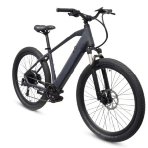2020 Ride1UP XR LMT'D Silver, gray or bare metal