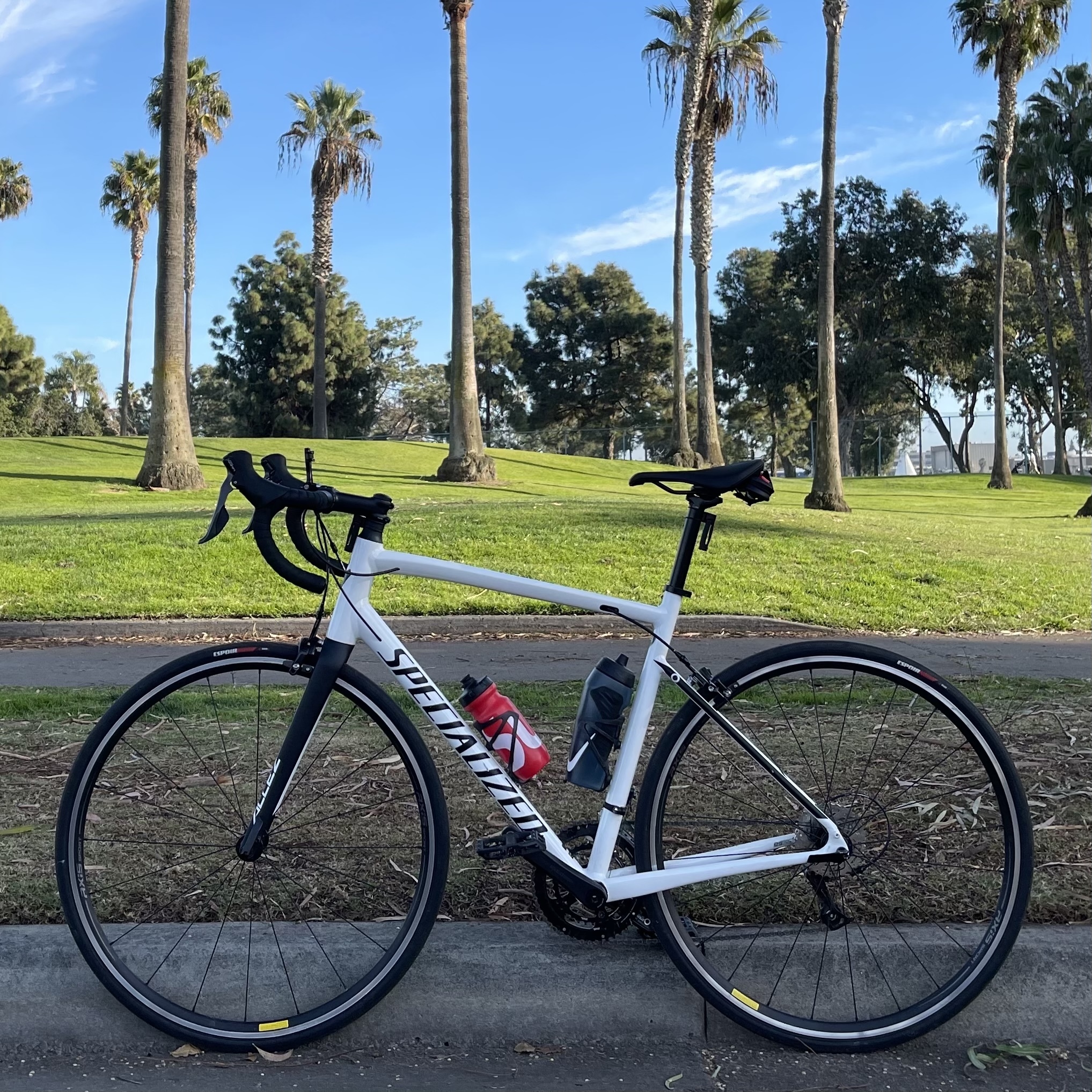 2018 Specialized Allez Sport