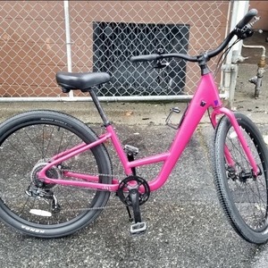 2018 Norco Bikes scene 1 Pink