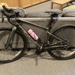 2021 Specialized Diverge E5 Silver, gray or bare metal