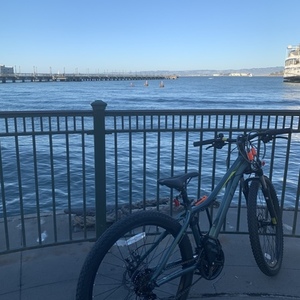 2020 Liv Alight DD Teal