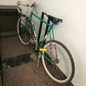 2021 Sekine Unknown Green