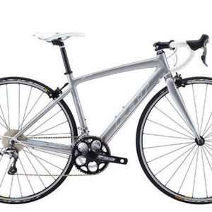 2014 Felt ZWX85 Silver, gray or bare metal