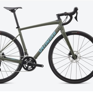 2020 Specialized Diverge E5 Comp Green
