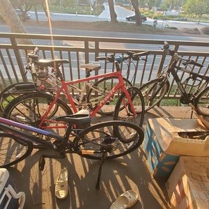2020 Trek FX 3 Black and Purple