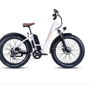 2020 Rad Power Bikes RadRover step thru White