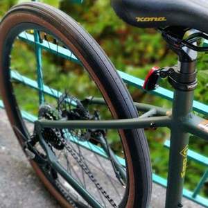 2019 Kona Green