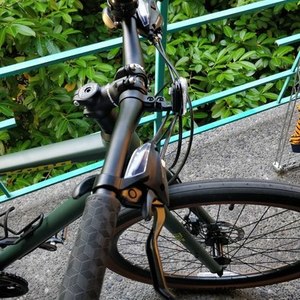 2019 Kona Green