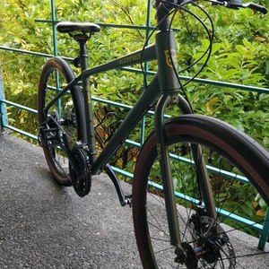 2019 Kona Green