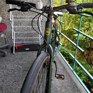 2019 Kona Green