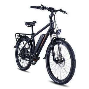 2019 Rad Power Bikes RAD CITY Silver, gray or bare metal