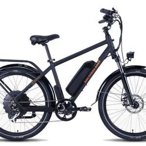 2019 Rad Power Bikes RAD CITY Silver, gray or bare metal