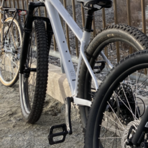 2020 Specialized Fuse Silver, gray or bare metal