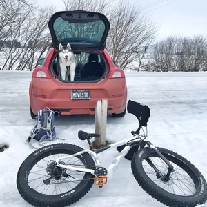 2020 Salsa Beargrease White