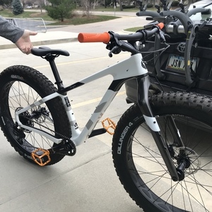 2020 Salsa Beargrease White