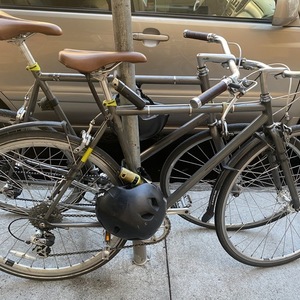 2011 Globe Roll 8 Silver, gray or bare metal