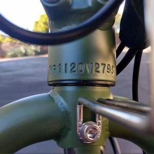 2020 Rad Power Bikes RadRunner Green