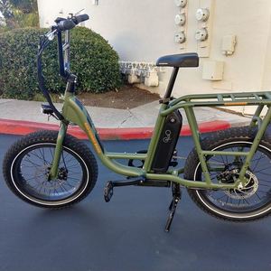 2020 Rad Power Bikes RadRunner Green