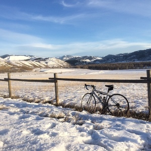 2014 Felt ZWX85 Silver, gray or bare metal