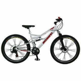 schwinn s 60 dsx