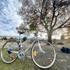 1980 Peugeot Mixte White