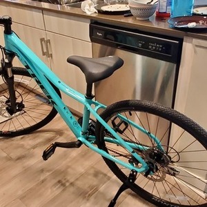 2020 Trek Dual Sport 2 Womens Teal